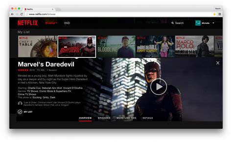 netflix web site.